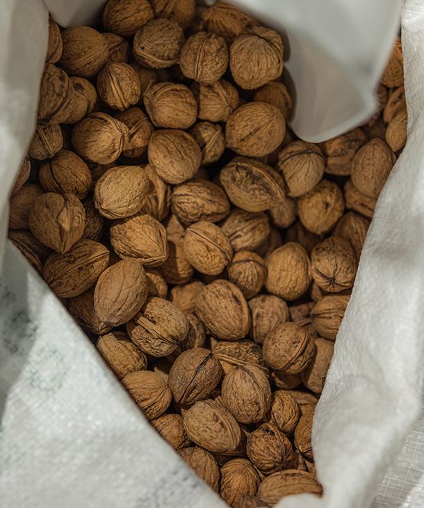 Bertako produktuak